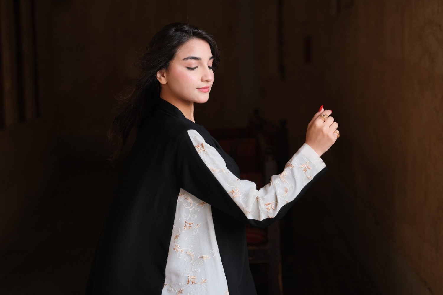Punjabi Model – With Embroidered Fabric Design